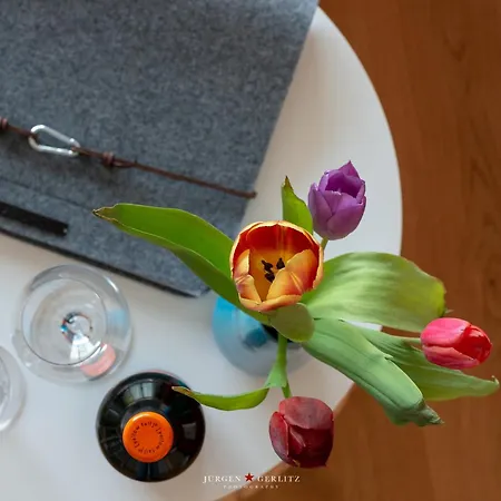 Seestern Apartment Olpenitz